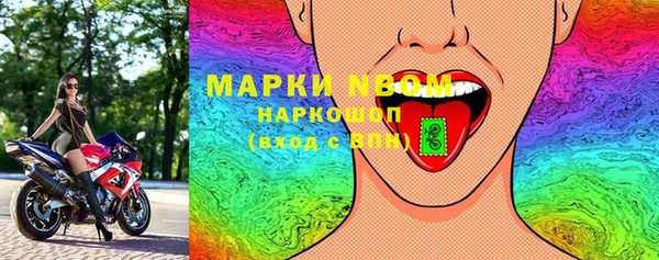 стаф Белокуриха